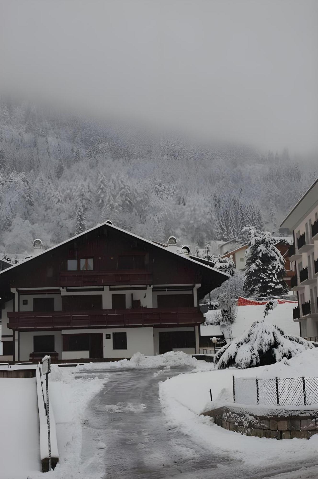 Habitat Dolomiti-Cadore Apartment Pieve di Cadore Exterior photo